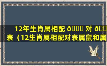 12年生肖属相配 🐈 对 🐎 表（12生肖属相配对表属鼠和属虎能配吗）